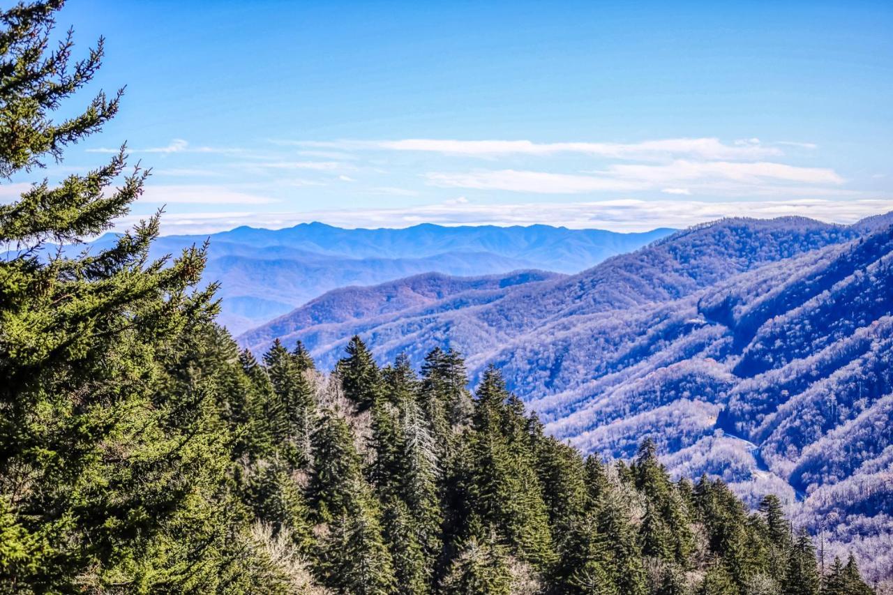 Sweet Surrender Villa Pigeon Forge Buitenkant foto